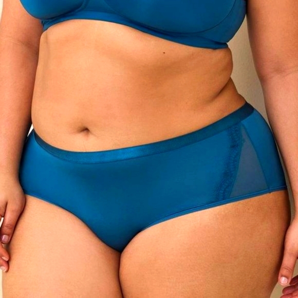 ♥️NWT VINTAGE TORRID PANTY -  SECOND SKIN SEAMLESS CHEEKY - PLUS SIZE 5X - Picture 6 of 8